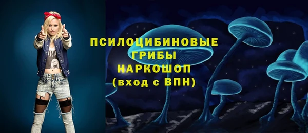 бошки Алзамай