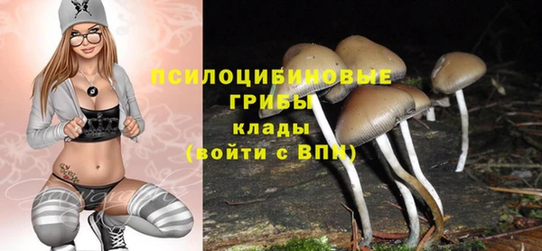 мяу мяу мука Сатка