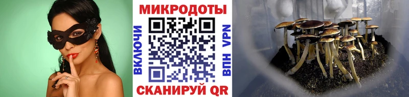 Галлюциногенные грибы Psilocybe  Купить закладки  Белинский 